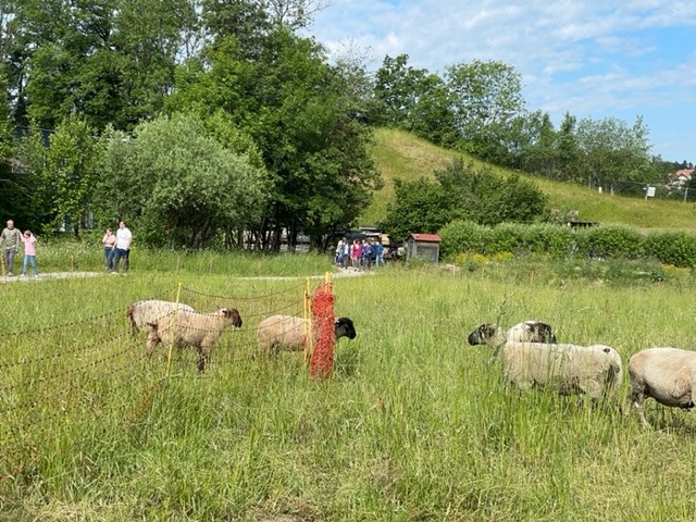 Image C'est la semaine du MOUVEMENT à la Belle Etoile !